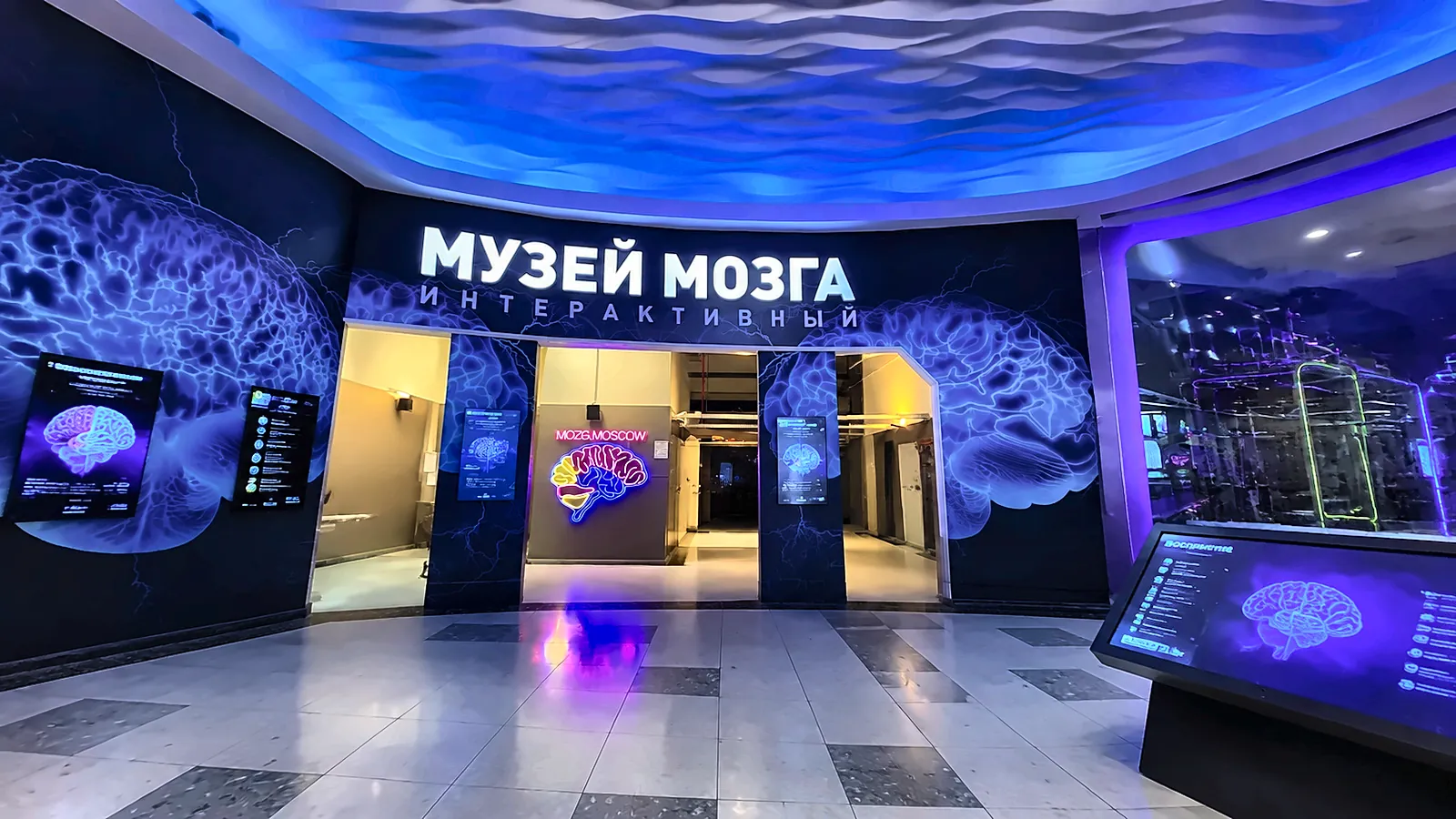 Музей мозга — экскурсия для школьников в Москве